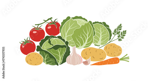 A vibrant assortment of fresh vegetables including tomatoes cabbage potatoes garlic and carrots.