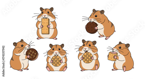 Cute hamsters enjoying their tasty snacks of cookies and crackers.