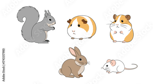 A collection of cute and fluffy small animals including a squirrel a guinea pig a rabbit and a hamster.