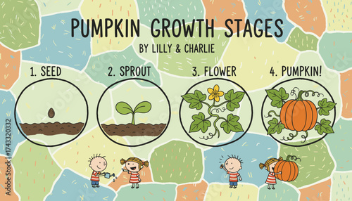 Educational illustration pumpkin growth from seed to fruit with children observing