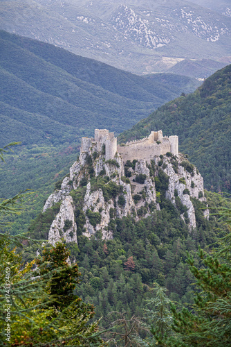 Podobny obraz