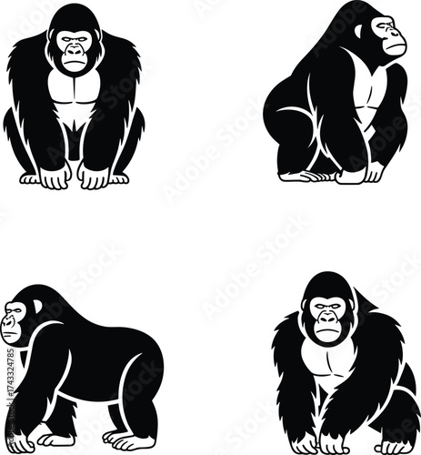 Gorilla silhouettes illustration, black and white primate artwork, wildlife animal poses, strong ape design for education, zoo, jungle, nature concept