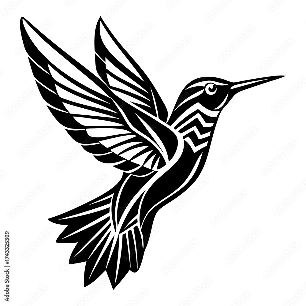 Obraz premium hummingbird vector illustration