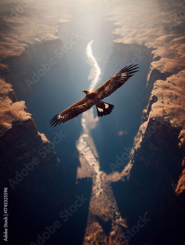 A large golden eagle with beautiful feather patterns.