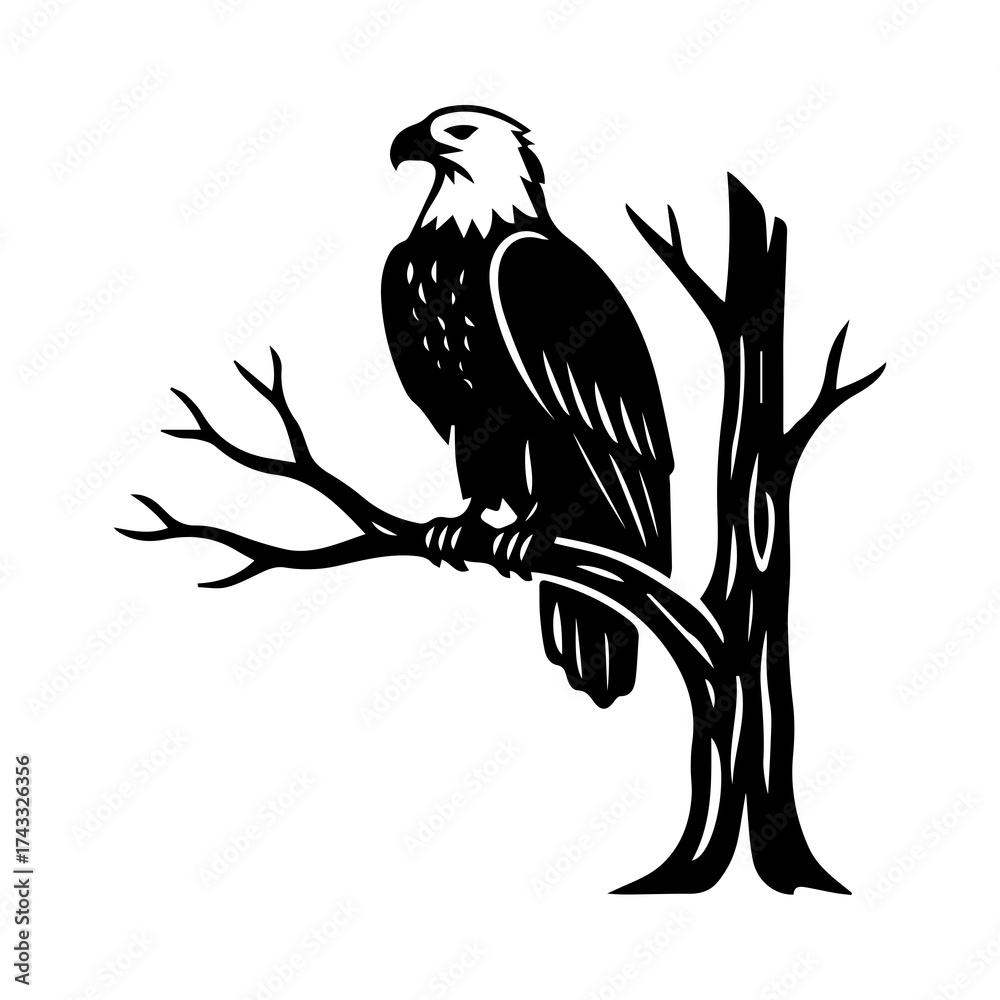 Obraz premium eagle on a branch