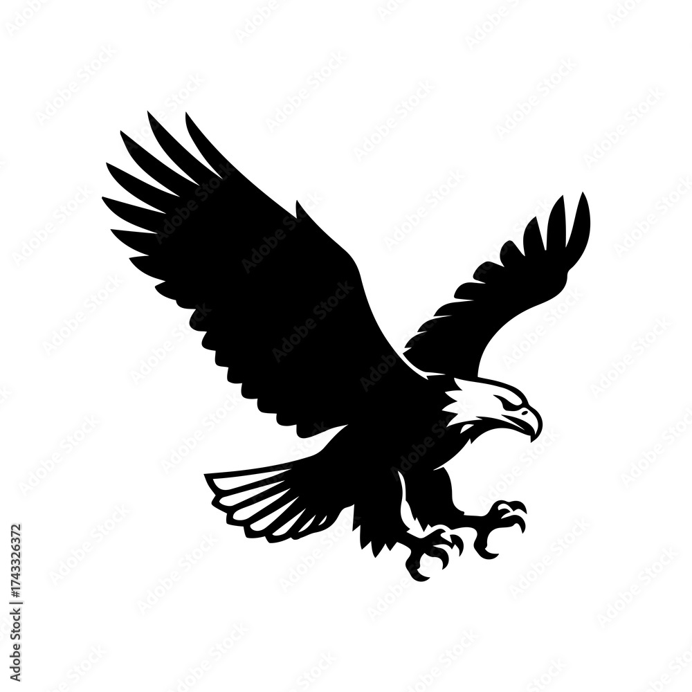 Obraz premium eagle vector illustration