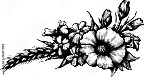 Botanical illustration featuring a detailed flower and wheat cluster in black and white. This artwork showcases intricate designs in a vector format.
