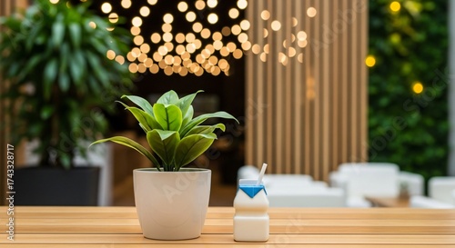 Indoor plant and drink on a wooden table creating a peaceful vibe