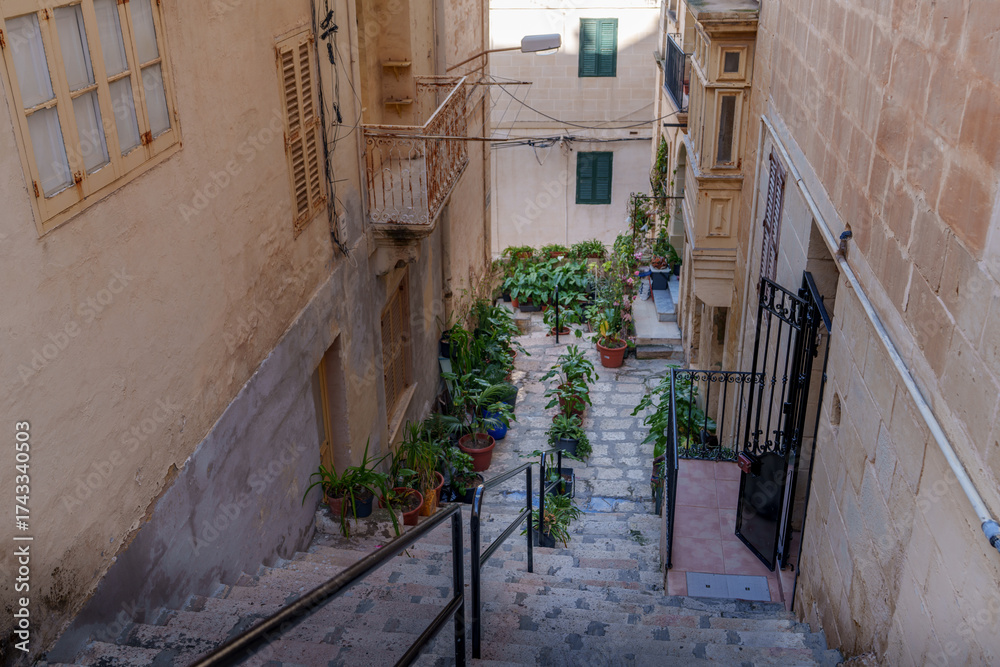 Fototapeta premium Stepped Courtyard Lane with Potted Greenery and Railings between Limestone Walls