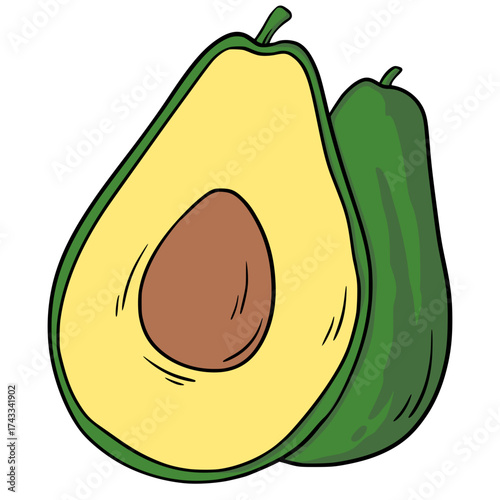 Avocado Fruit Illustration 