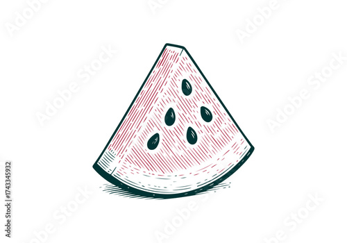 Watermelon hand drawn simple engraved vector illustration