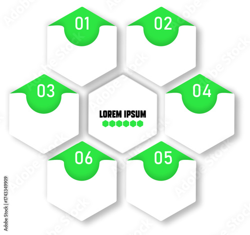 The Infographic diagram chart vector template for business and finance in 6 parts, options, presentation with elements vector illustration