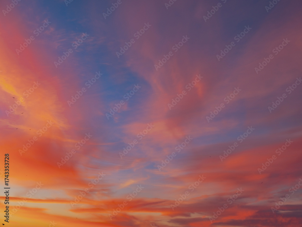 Fototapeta premium colorful sunset clouds summer time