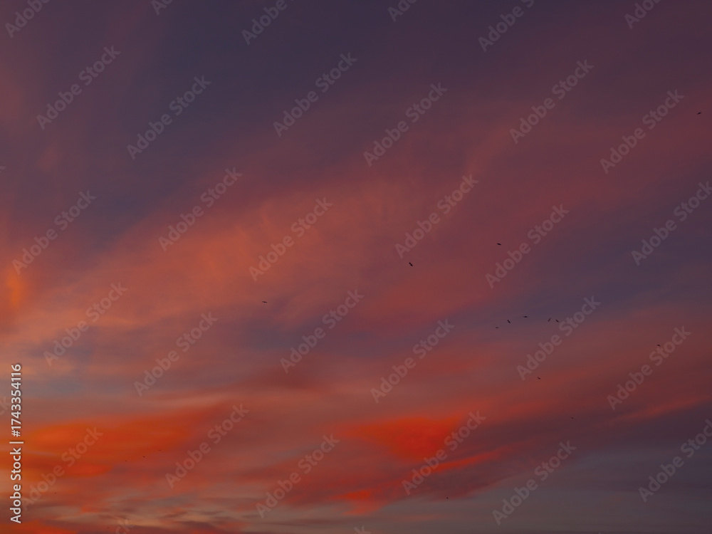 Obraz premium colorful sunset clouds summer time