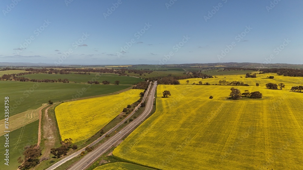 Fototapeta premium Auburn, South Australia – Aerial Drone Footage Featuring Vibrant Canola Fields, Rolling Farmlands, Country Roads, Green Hills, Scenic Agricultural Landscape of the Clare Valley