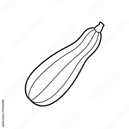 zucchini icon line art vector illustration on transparent background
