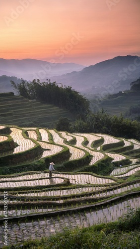 Sunrise Over Terraced Rice Fields With Lone Farmer Walking Through Flooded Paddies
