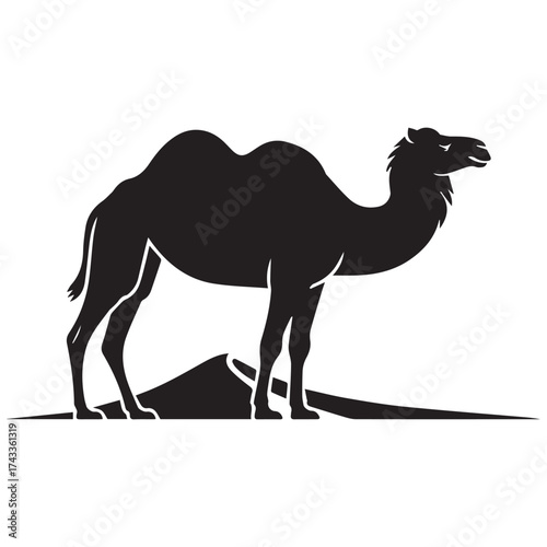 A solitary dromedary camel stands against a stark white background in silhouette