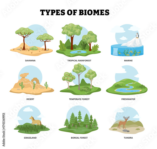 Types of biomes. Diverse environment ecosystem. Habitat landform climate zones division. Savanna, tropical rainforest, marine, desert, temperate forest, freshwater, grassland, boreal forest, tundra.