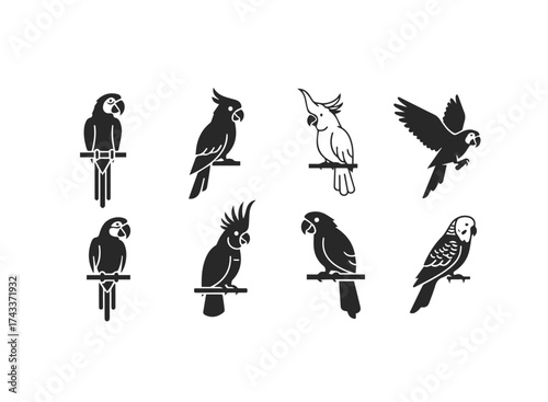 Collection of Stylized Parrot and Cockatoo Icons.
