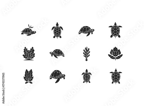 Collection of Stylized Turtle and Plant Icons.