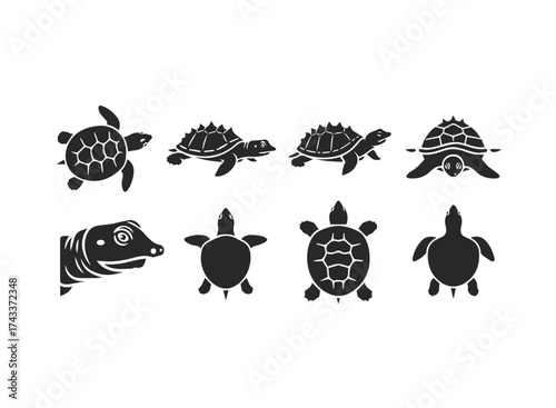 Set of Black Turtle Silhouettes on White Background.