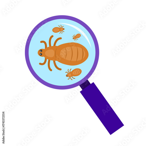 Scratching Head with Lice. Lice infection concept