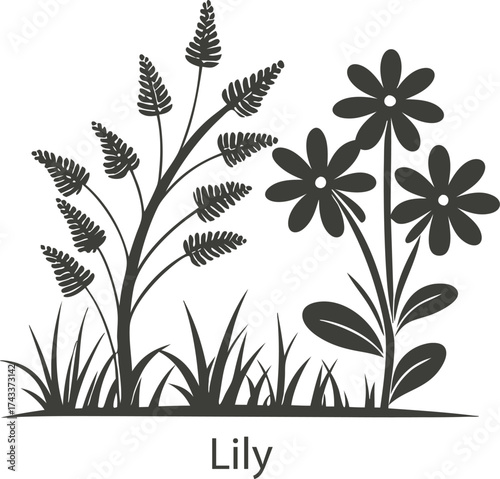 Silhouette of lily flowers and grass isolated on white background
