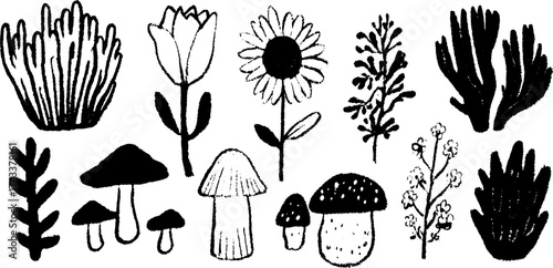 Botanical illustrations featuring flowers, mushrooms, and foliage. Black and white vector set with a hand-drawn illustration style.