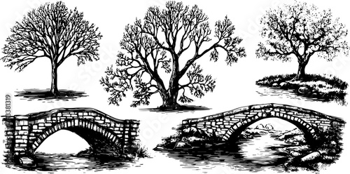 Trees and a bridge in a black and white vector illustration. This graphic features a natural landscape with intricate details in a set format.