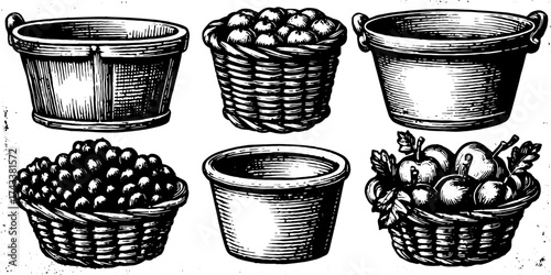 Baskets of fruit illustration featuring apples and grapes. Vintage hand-drawn vector design in a set with detailed outlines and textures.