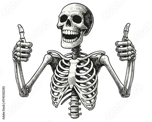Human happy emotion skeleton showing good job hand gestures. Thumbs up bones. Cheerful halloween corpse. Death, dead body vector graphic illustration