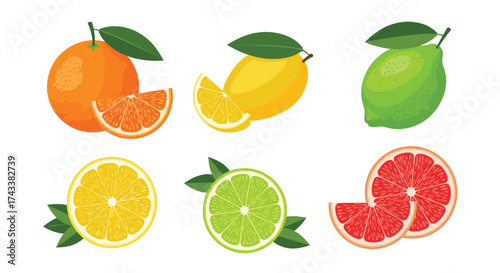 Fresh citrus fruits including oranges lemons limes and grapefruits variety of whole and sliced