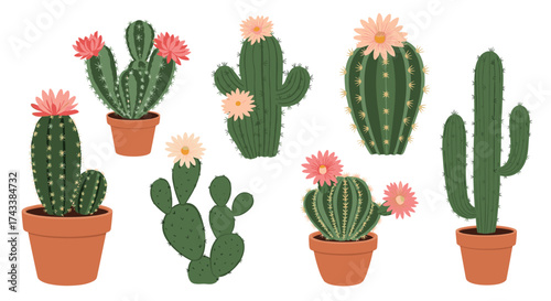 A collection of potted cacti with delicate pink blossoms on a white background.