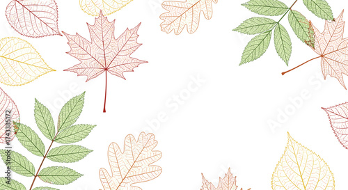 Autumn leaves frame with a white background and a scattering of deciduous foliage.