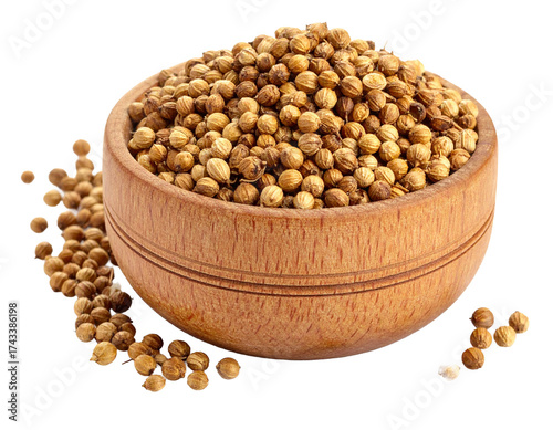 Dried Coriander Seeds in Wooden Bowl
