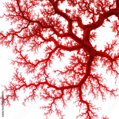 Complex network of fine, branching red structures against a dark backdrop, suggestive of biology