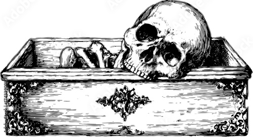 Skeleton in a vintage box. Detailed vector illustration of a skull and bones in black and white, perfect for artistic or educational use.