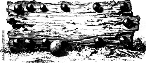 Vintage engraving of a wooden log with decorative balls. Monochrome vector illustration features a unique rustic design set.