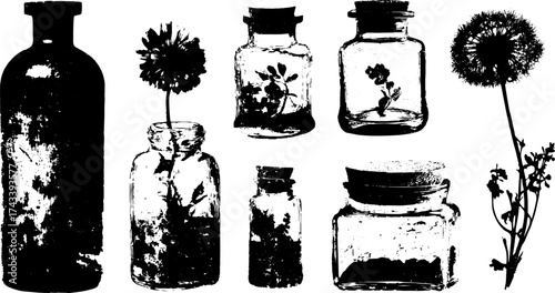 Vintage drawing set of bottles and jars with flowers. Black and white line vector illustration featuring botanical elements.