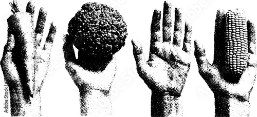 Silhouette illustration of hands holding various objects. Hand-drawn vector illustration in an antique engraving style.