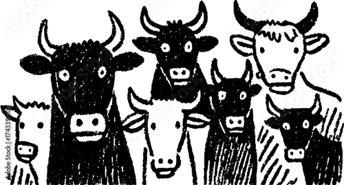 Cartoon cows in black and white style. Simple vector illustration featuring a set of farm animals.