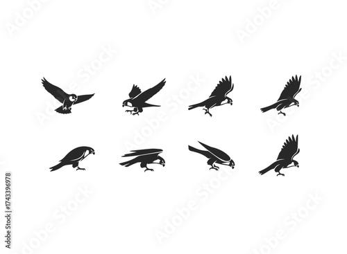 Set of Falcon Silhouettes in Flight and Perched Poses.