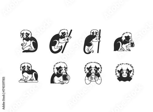 Set of Stylized Monkey Illustrations with Various Activities.