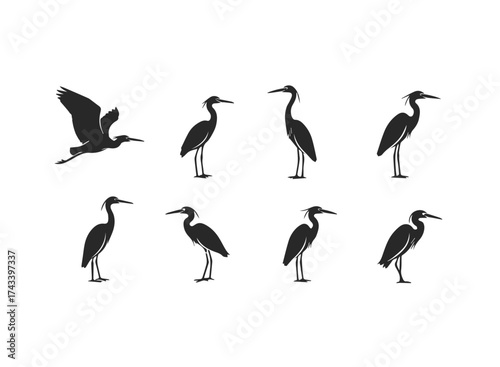 Silhouette Collection of Herons in Various Poses.