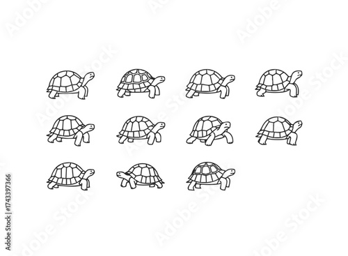 Simple Line Art Tortoise Pattern.