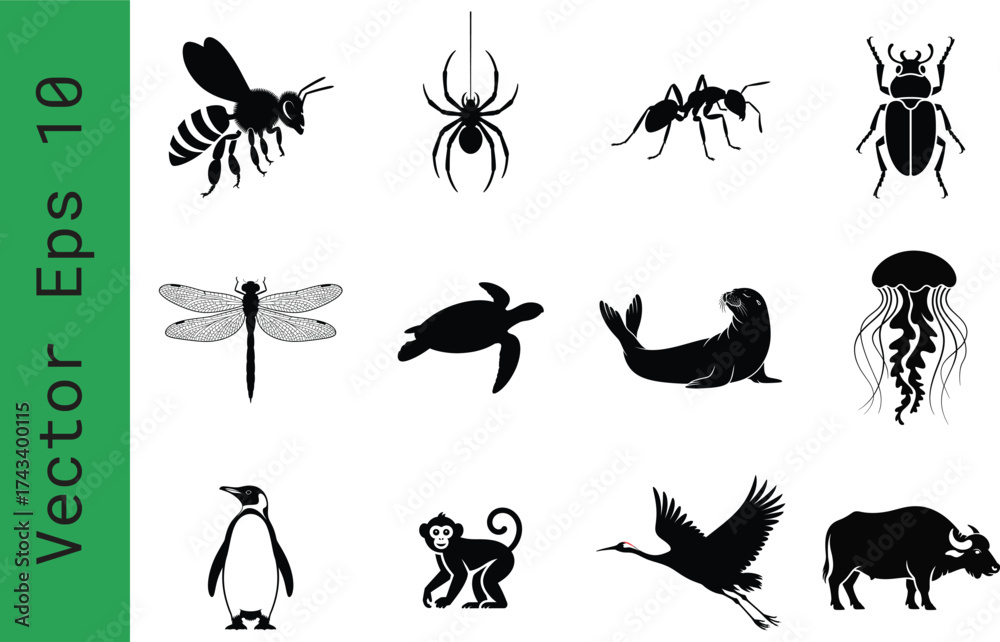 Obraz premium Black animal silhouettes set, 12 wildlife icons in vector eps 10 format, minimalist nature and insect symbols for educational design isolated on Transparent Background
