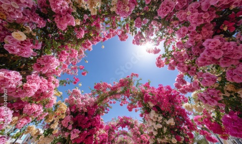 Colorful flowers create a vibrant archway under a sunny sky
