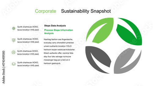 Corporate Sustainability Snapshot Data Analysis and Process Steps