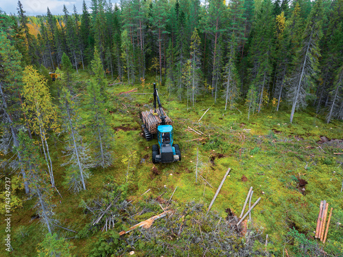 Timber harvesting in a forest area using machinery in an aerial view during autumn